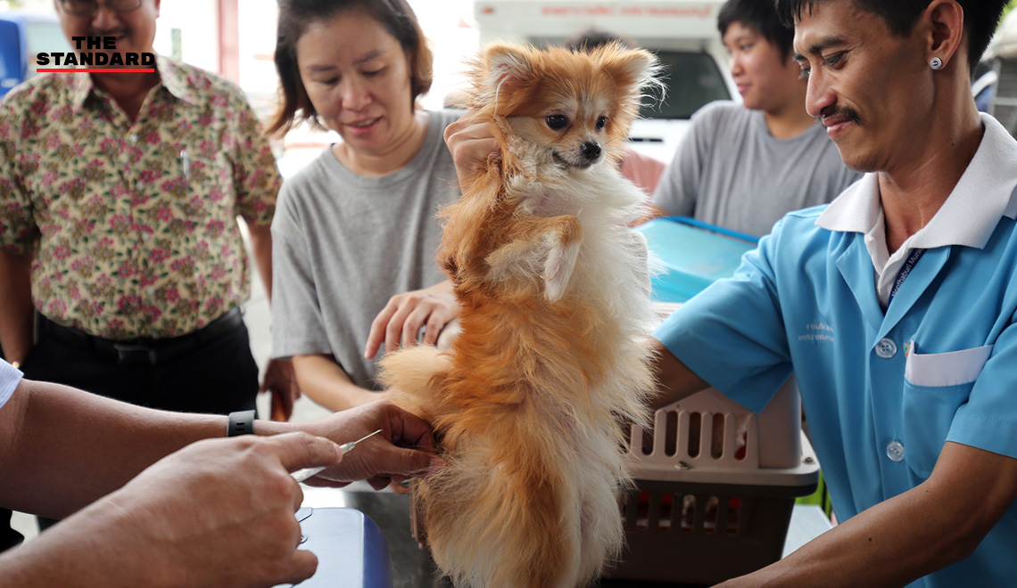ประกาศจังหวัดลพบุรีฉีดวัคซีนป้องกันโรคพิษสุนัขบ้าและแมว ประจำปีงบประมาณ 2565