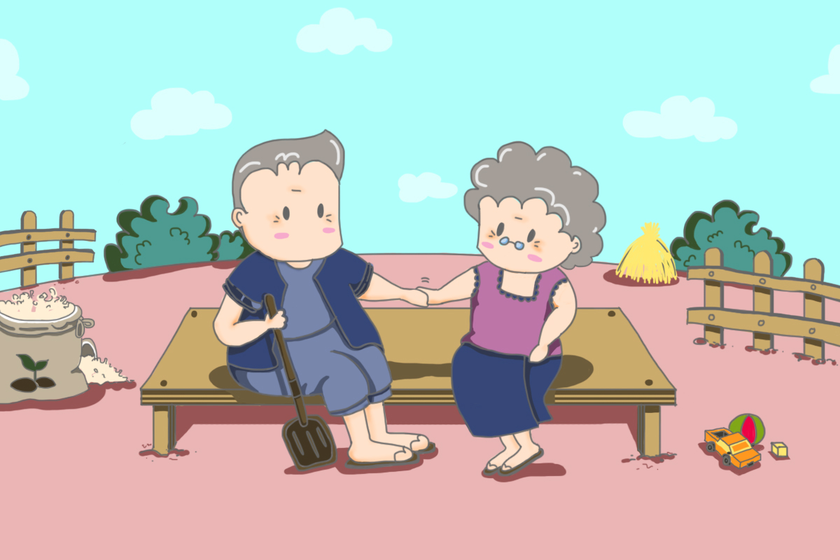บริการสาธารณสุข Long term care
